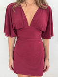 Sleeve Dress (Burgundy)