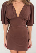 Sleeve Dress (Brown)