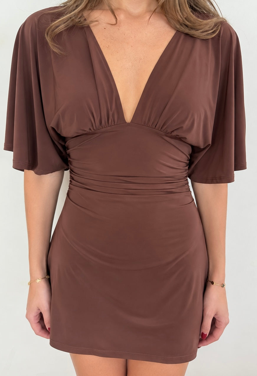 Sleeve Dress (Brown)